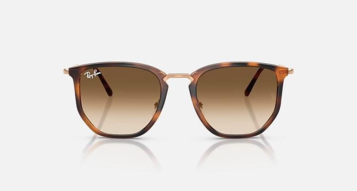 Ray-Ban Sunglasses RB4451-680451