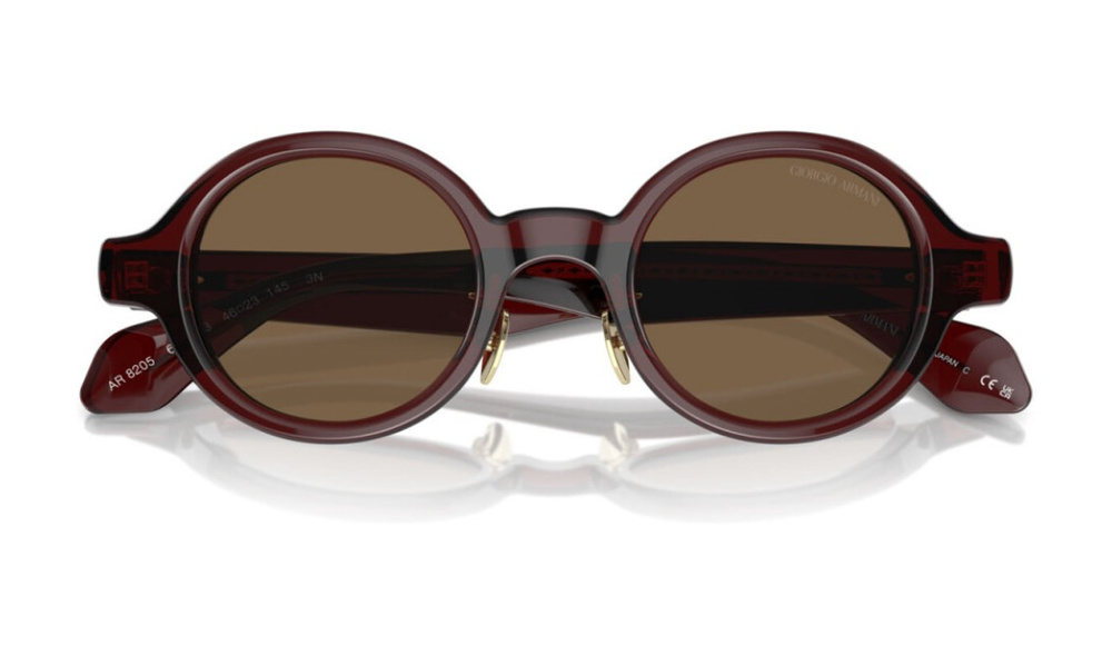 Giorgio Armani Sunglasses AR8205-606273