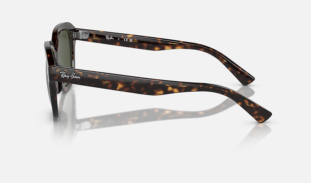 Ray-Ban Sunglasses ERIK RB4398-902/31