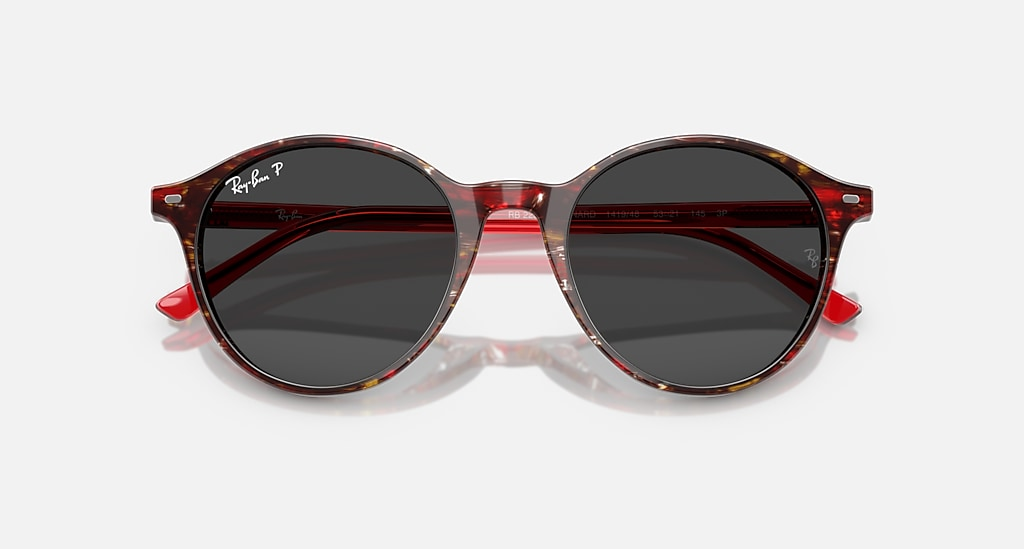 Ray-Ban Sunglasses BERNARD RB2230-141948