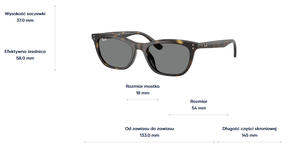 Ray-Ban Sunglasses RB4474D-710/87