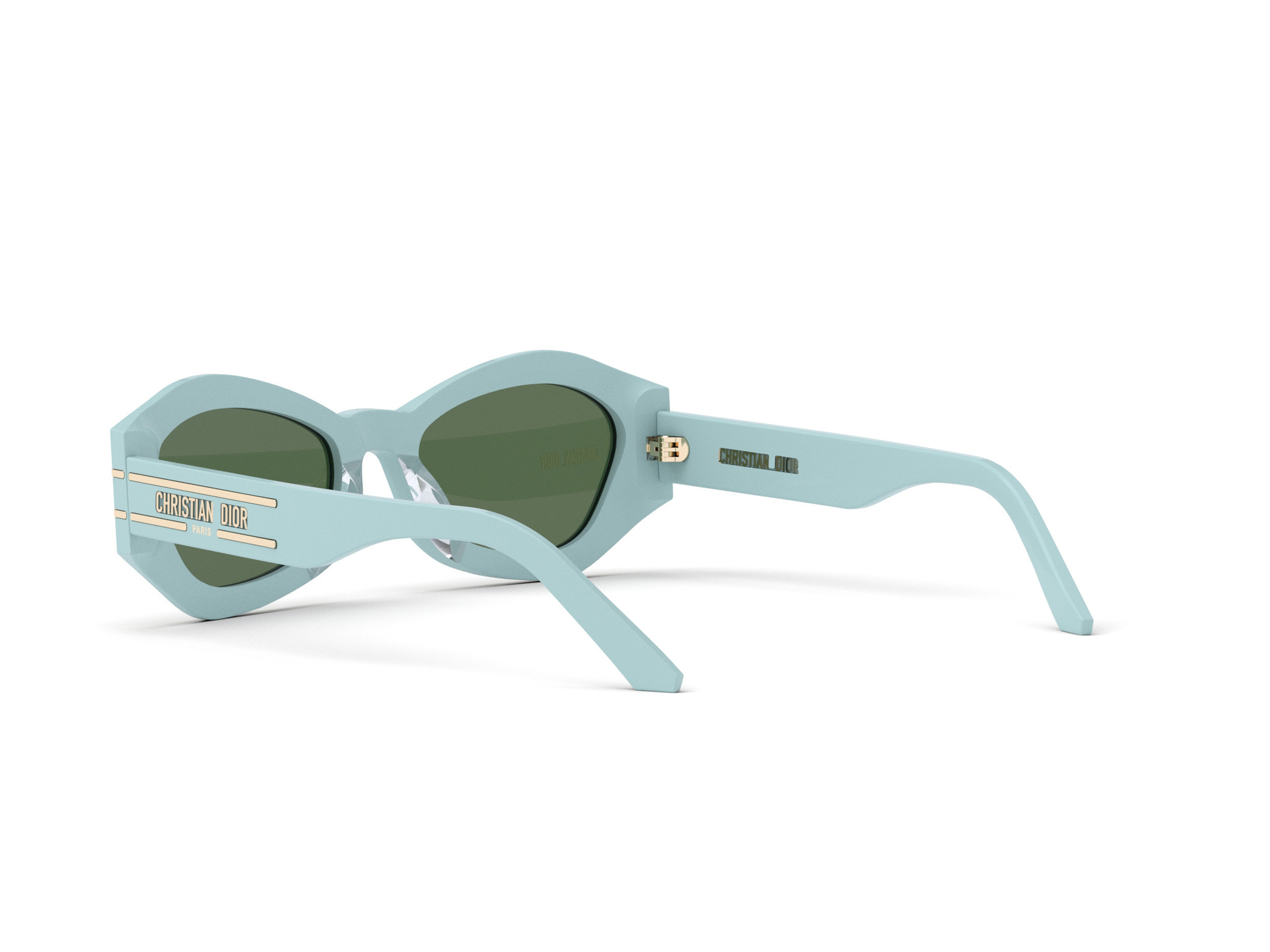 Dior Sunglasses DIORSIGNATURE B1U 80C0 CD40058U_5584N