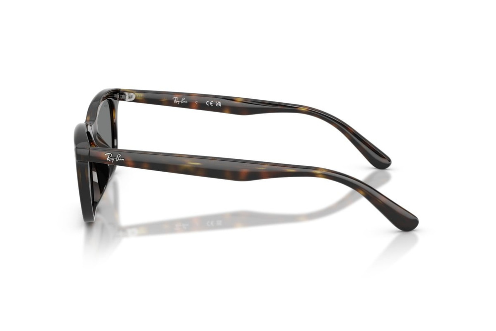 Ray-Ban Sunglasses RB4474D-710/87