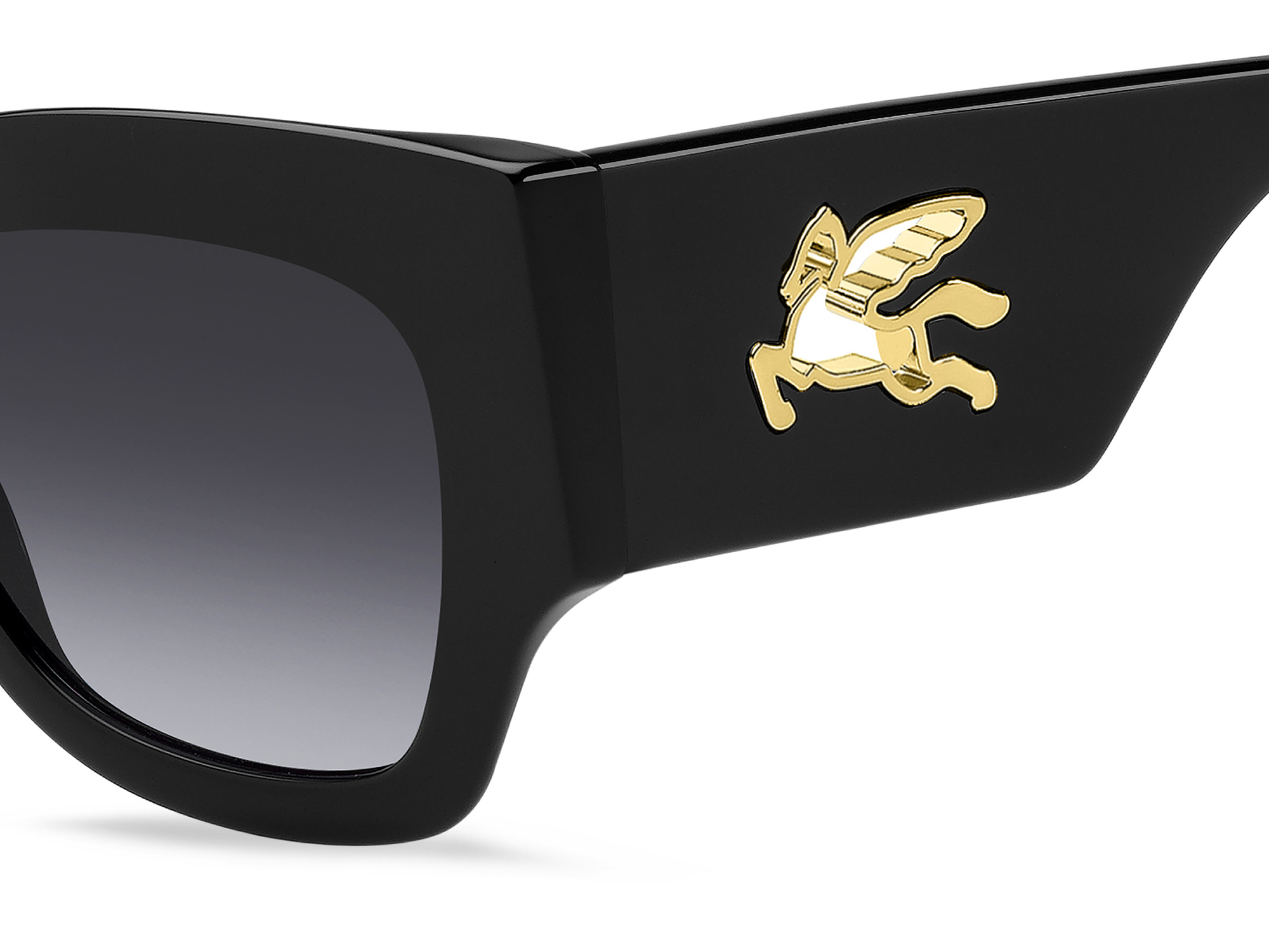 Etro Sunglasses ETRO 0076/S-807/9O (207798)