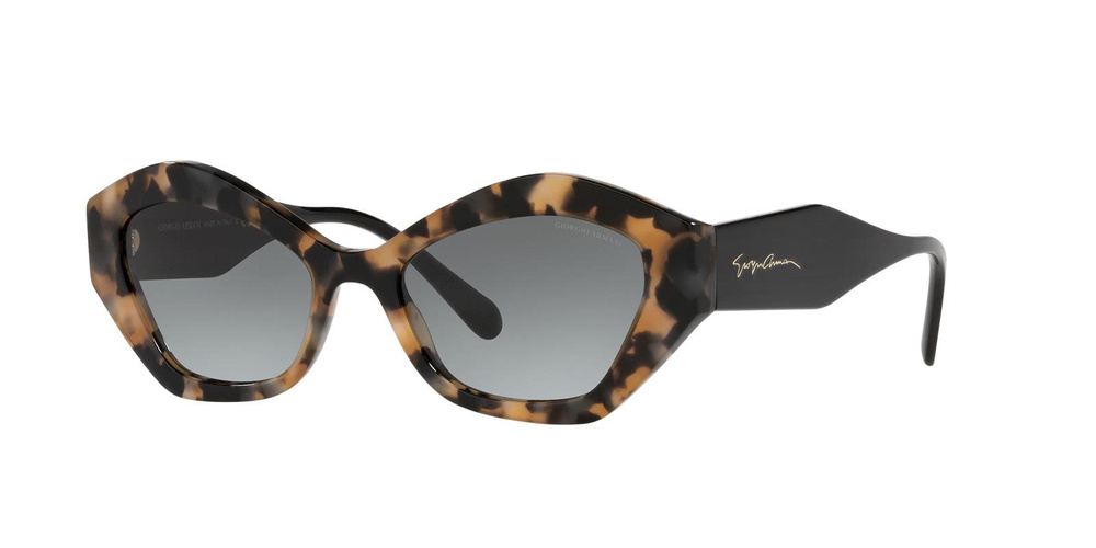 Giorgio Armani Sunglasses AR8144-584711