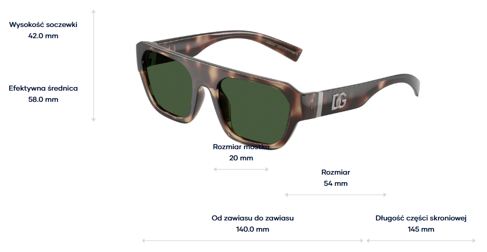 Dolce & Gabbana Sunglasses DG6206-344482
