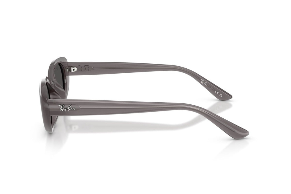 Ray-Ban Sunglasses RB4441D-677787