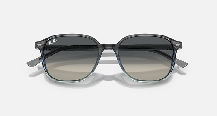 Ray-Ban Sunglasses LEONARD RB2193-138171