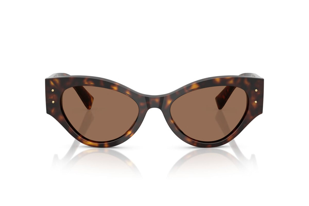 Dolce & Gabbana Sunglasses DG4480-502/73