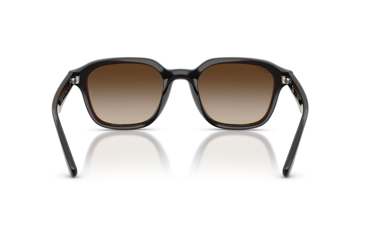 Ray-Ban Sunglasses RB4458D-714/13