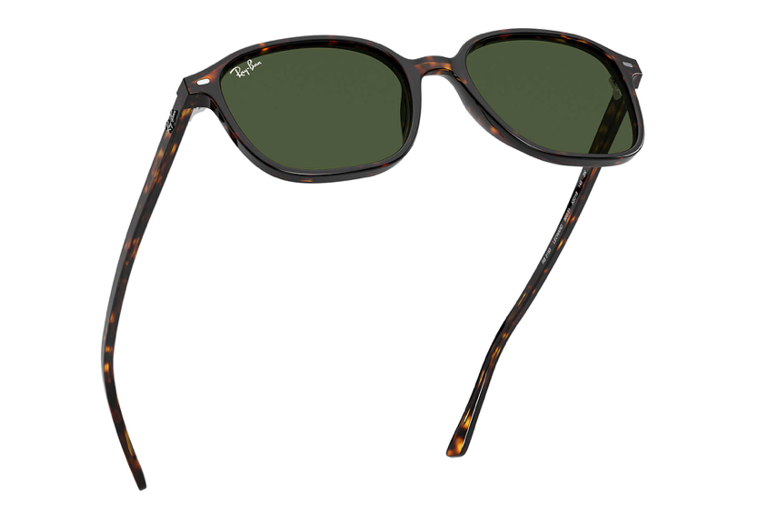Ray-Ban Sunglasses LEONARD RB2193-902/31