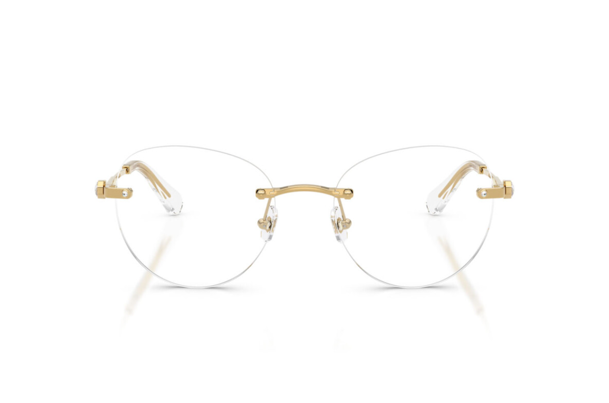 Swarovski Optical frame SK1021-4004
