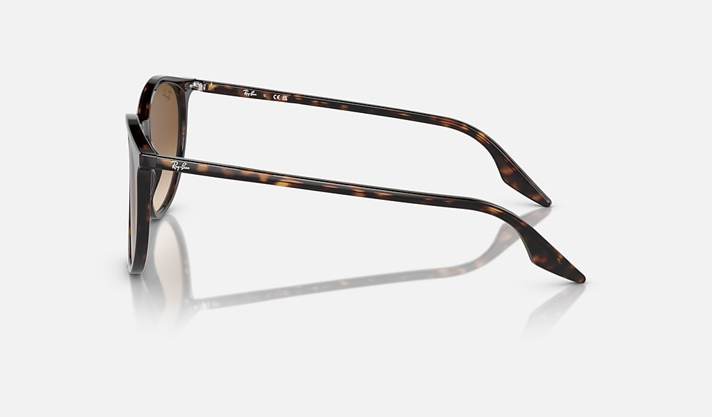 Ray-Ban Sunglasses RB2204-902/51