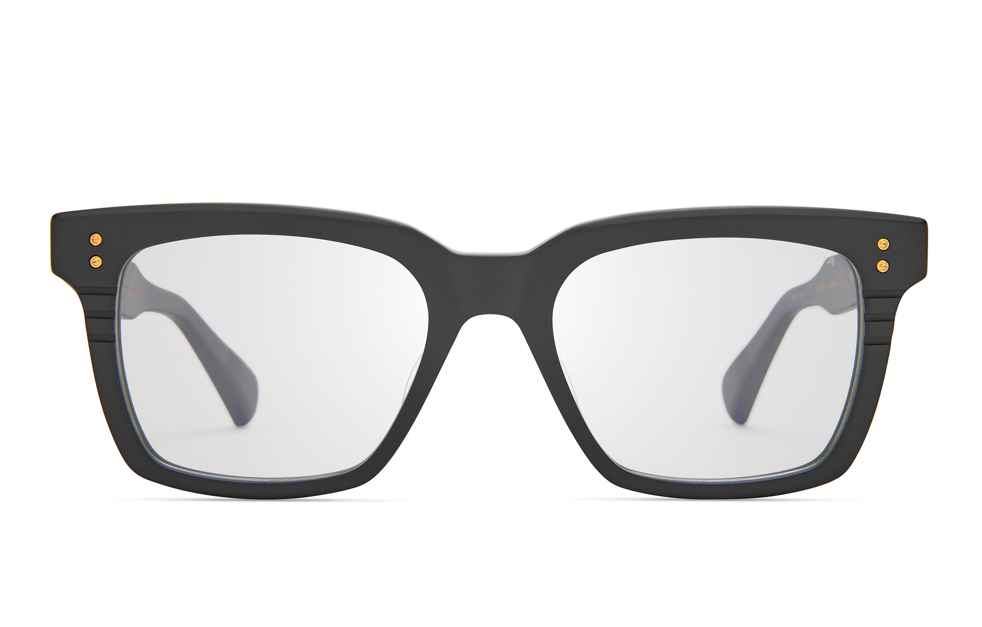 Dita Okulary korekcyjne SEQUOIA DTX757-A-01