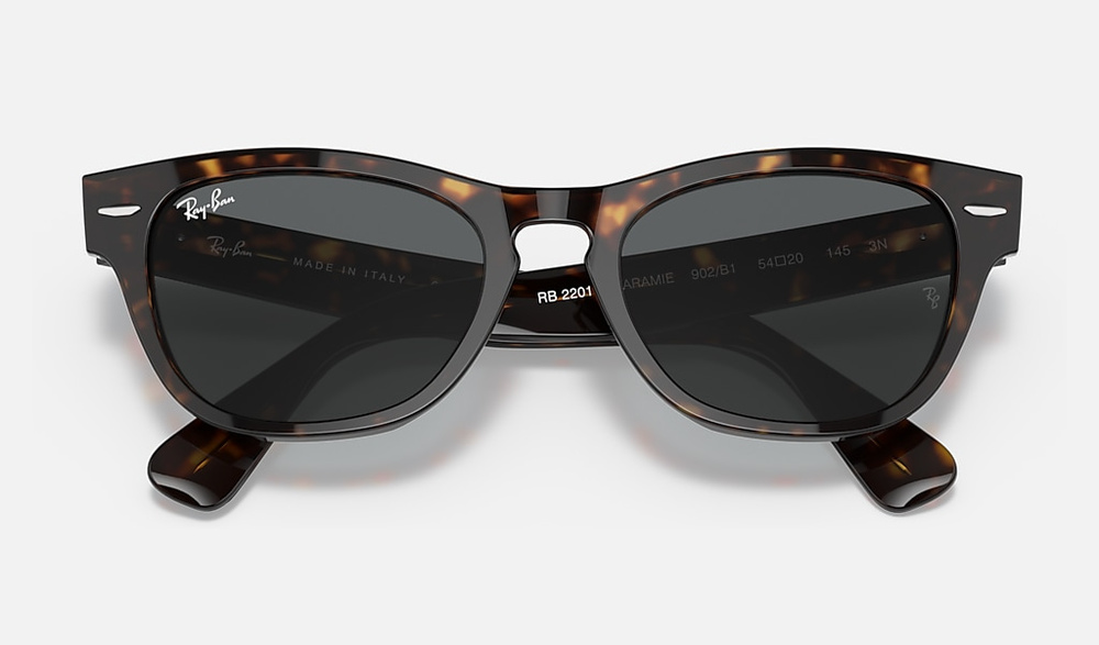 Ray-Ban Sunglasses LARAMIE RB2201-902/B1