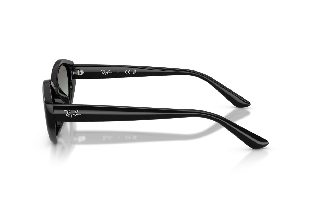 Ray-Ban Sunglasses RB4473D-667711