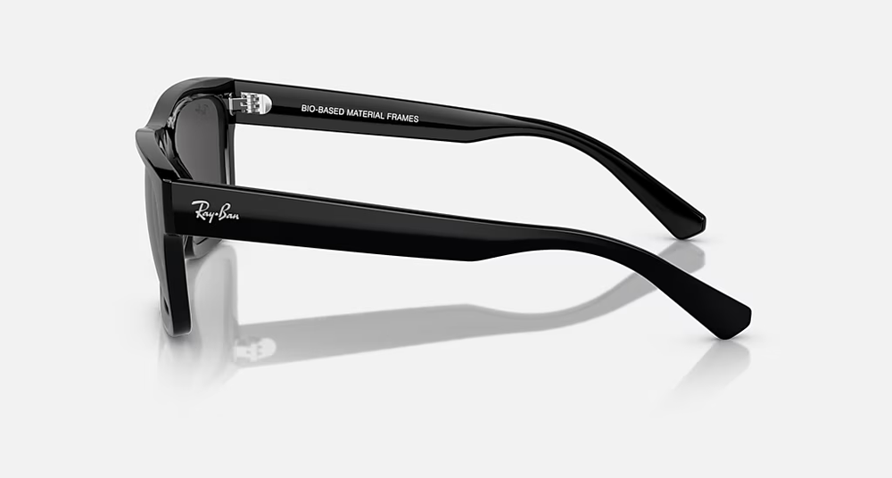 Ray-Ban Sunglasses WARREN RB4396-667787