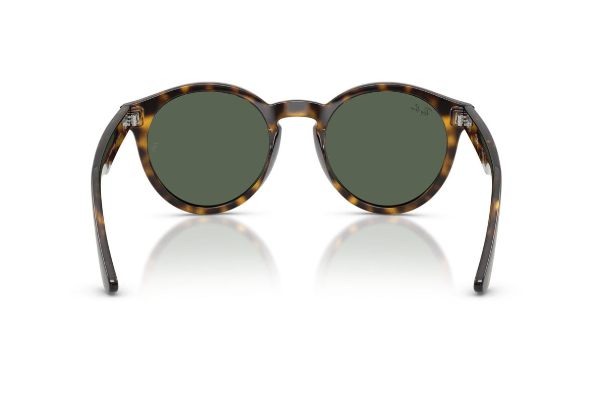 Ray-Ban Sunglasses RBR0505S-6790VR