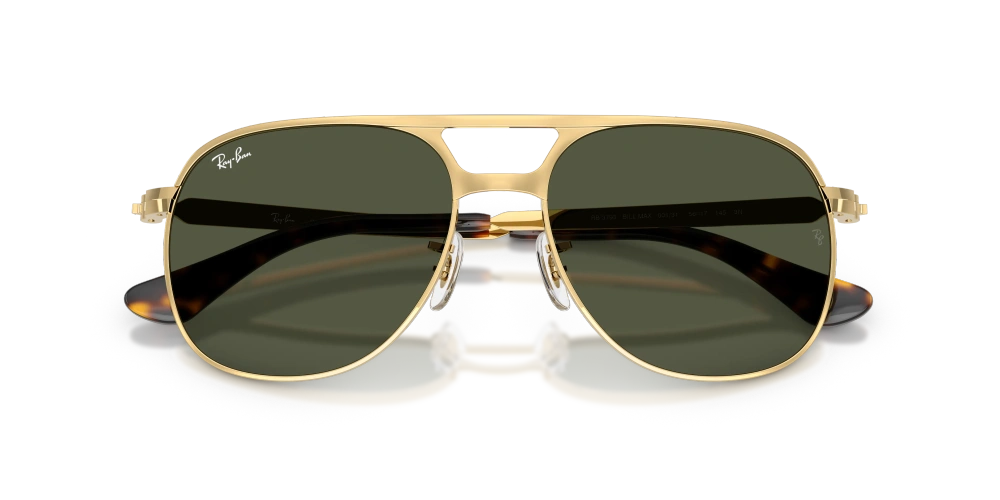 Ray-Ban Sunglasses BILL MAX RB3793-001/31