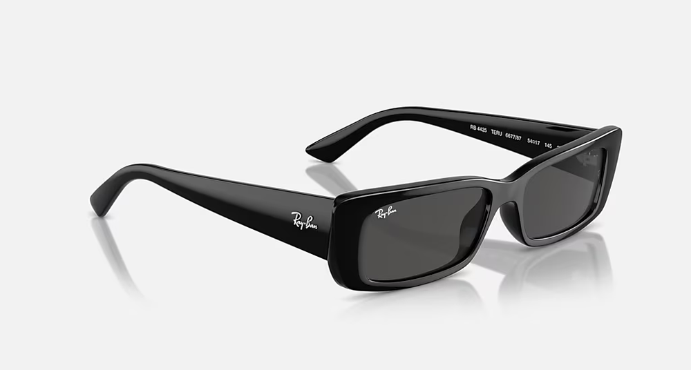 Ray-Ban Okulary przeciwsłoneczne TERU RB4425-667787