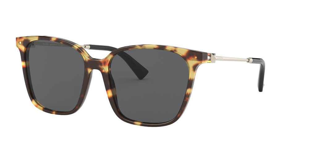 Valentino Sunglasses VA4078-503687