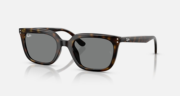 Ray-Ban Sunglasses RB4439D-710/87
