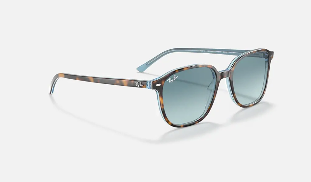 Ray-Ban Sunglasses LEONARD RB2193-13163M
