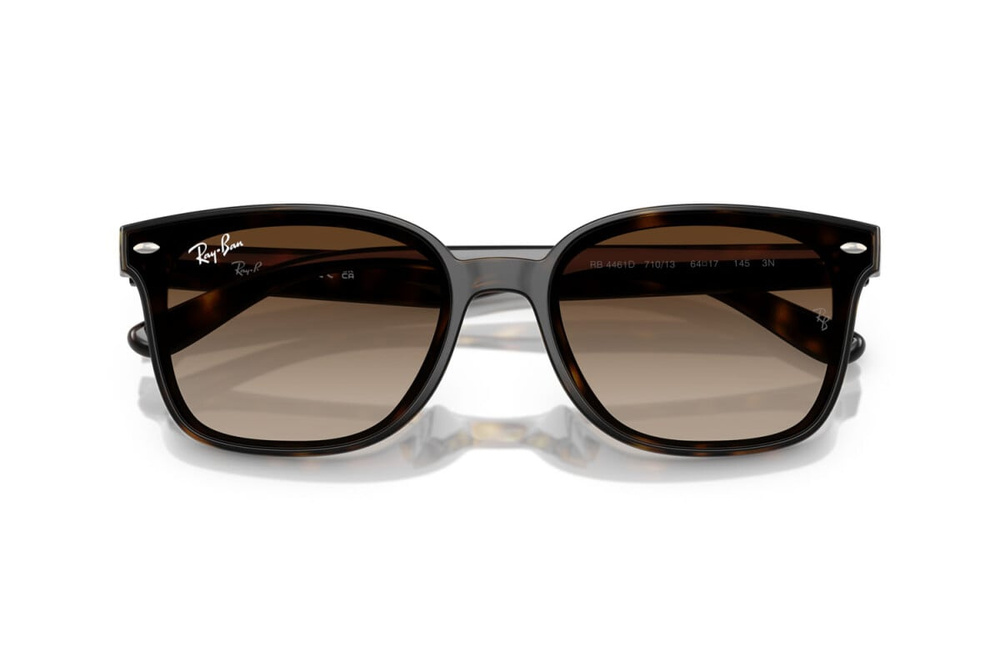 Ray-Ban Sunglasses RB4461D-710/13