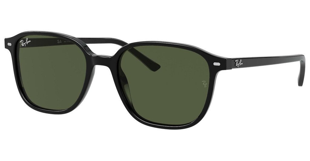 Ray-Ban Sunglasses LEONARD RB2193-901/31