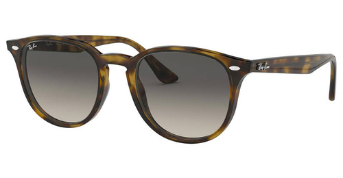 Ray-Ban Sunglasses RB4259-710/11