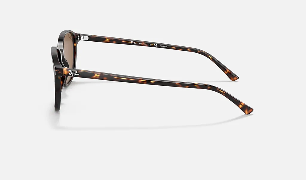 Ray-Ban Sunglasses LEONARD RB2193-902/57