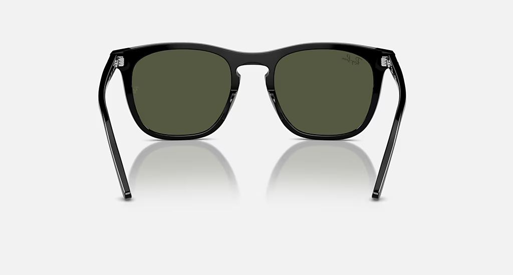 Ray-Ban Sunglasses RB2210-901/31