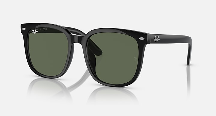 Ray-Ban Sunglasses RB4401D-601/71