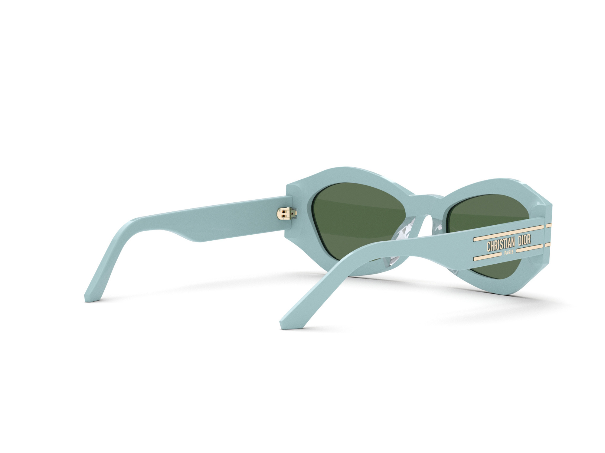 Dior Sunglasses DIORSIGNATURE B1U 80C0 CD40058U_5584N