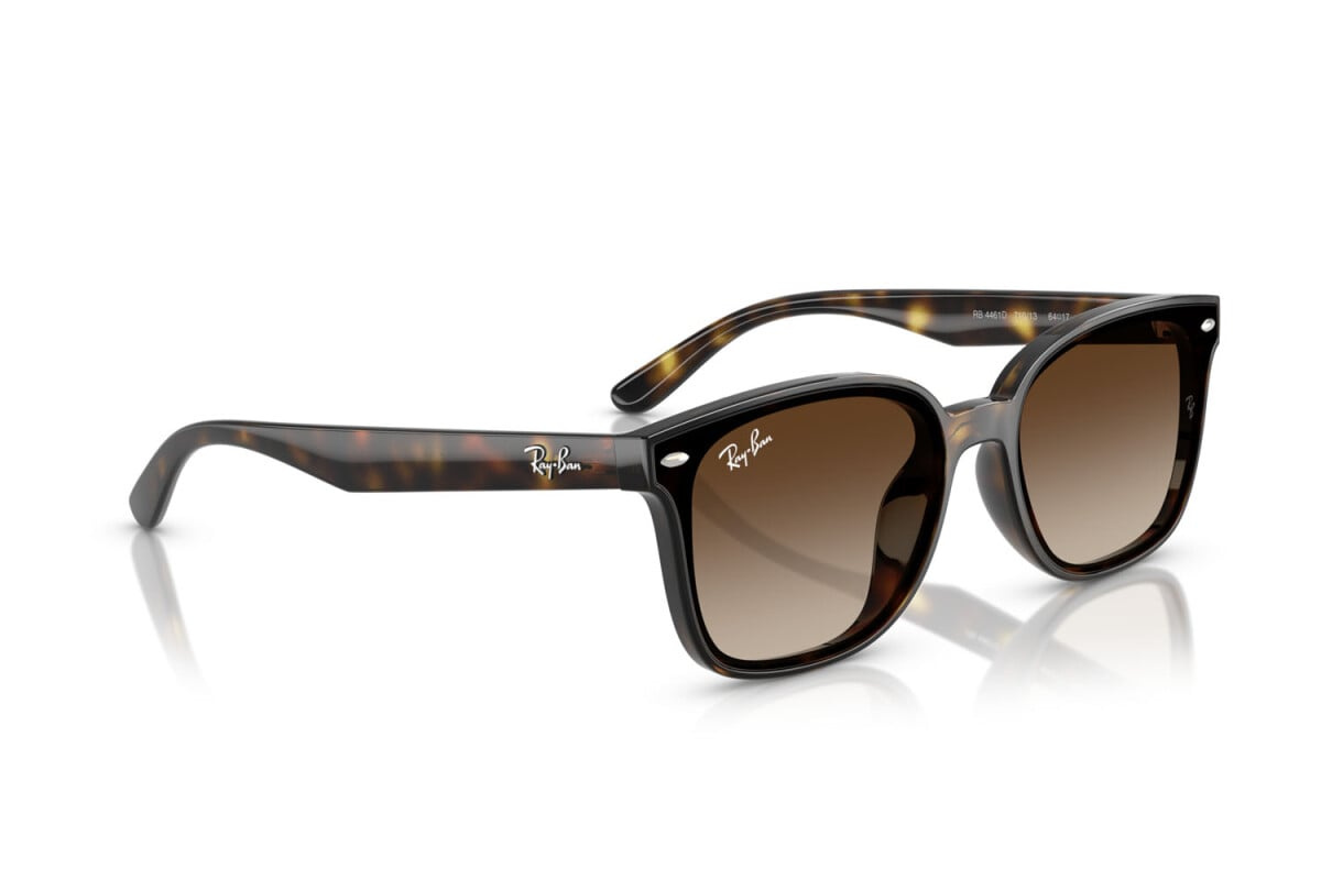 Ray-Ban Sunglasses RB4461D-710/13