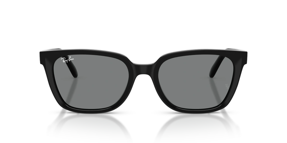 Ray-Ban Sunglasses RB2243D-901/87
