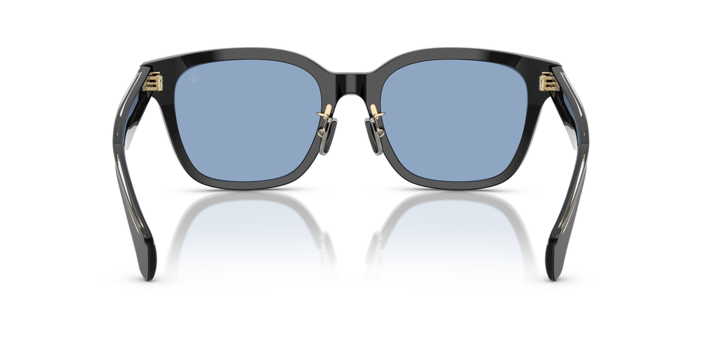 Moncler Sunglasses 0ME6002D-300172