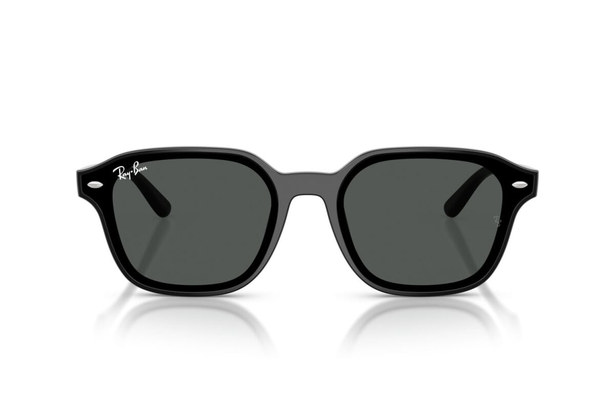 Ray-Ban Sunglasses RB4458D-601/87