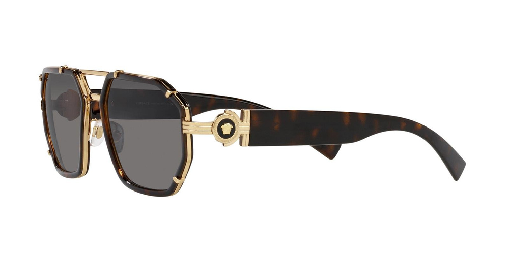 Versace Sunglasses VE2228-100281