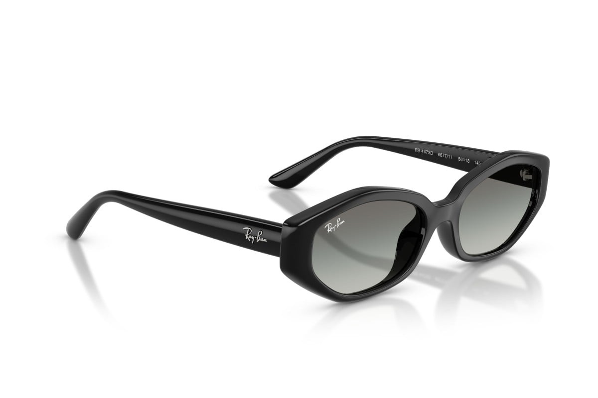 Ray-Ban Sunglasses RB4473D-667711