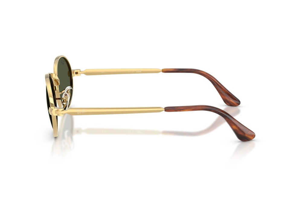 Ray-Ban Sunglasses RB3931-001/31