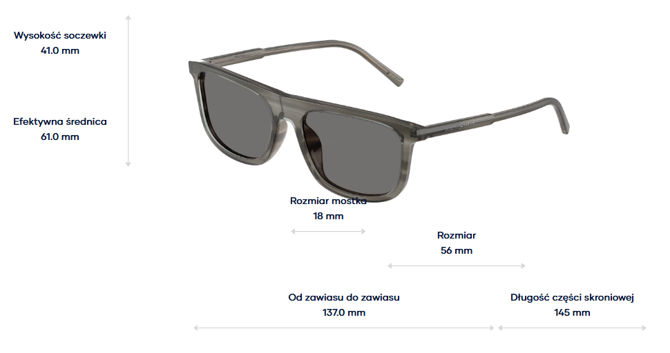 Dolce & Gabbana Sunglasses DG4542-347981