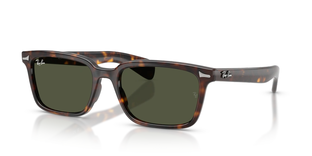 Ray-Ban Sunglasses BRUNEL RB2234-902/31