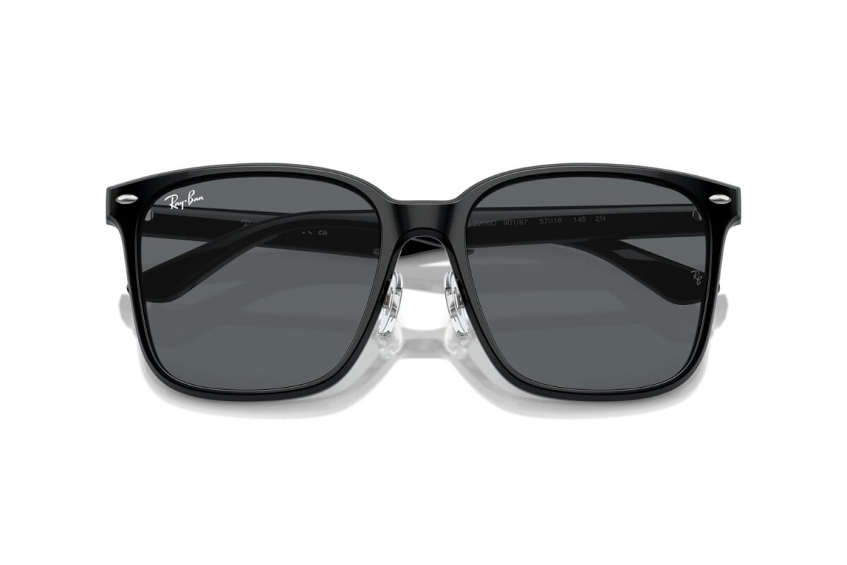 Ray-Ban Sunglasses RB2206D-901/87