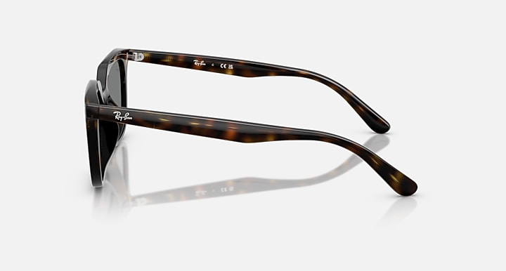 Ray-Ban Okulary przeciwsłoneczne RB4439D-710/87