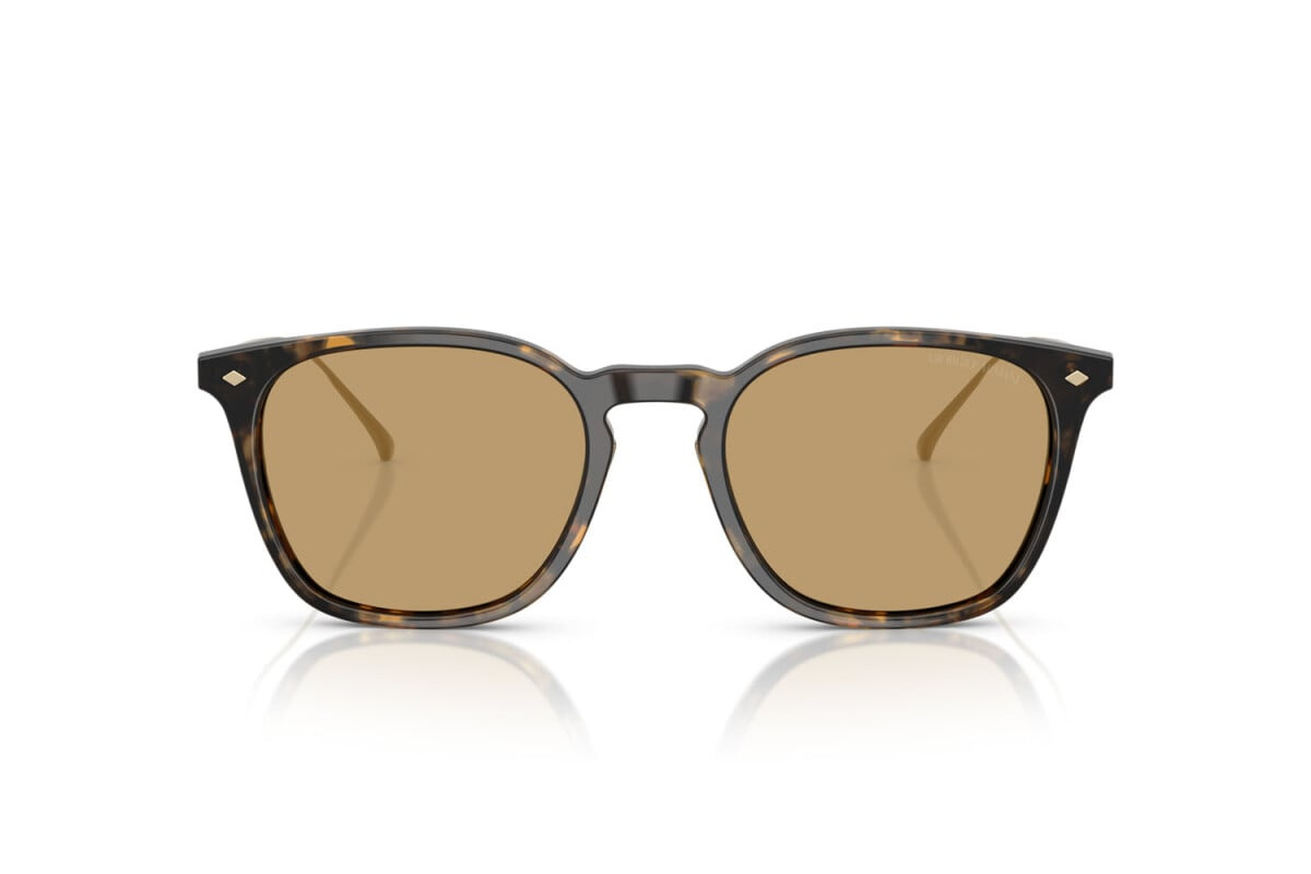 Giorgio Armani Sunglasses AR8226T-620773