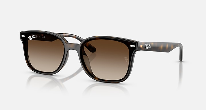 Ray-Ban Sunglasses RB4461D-710/13