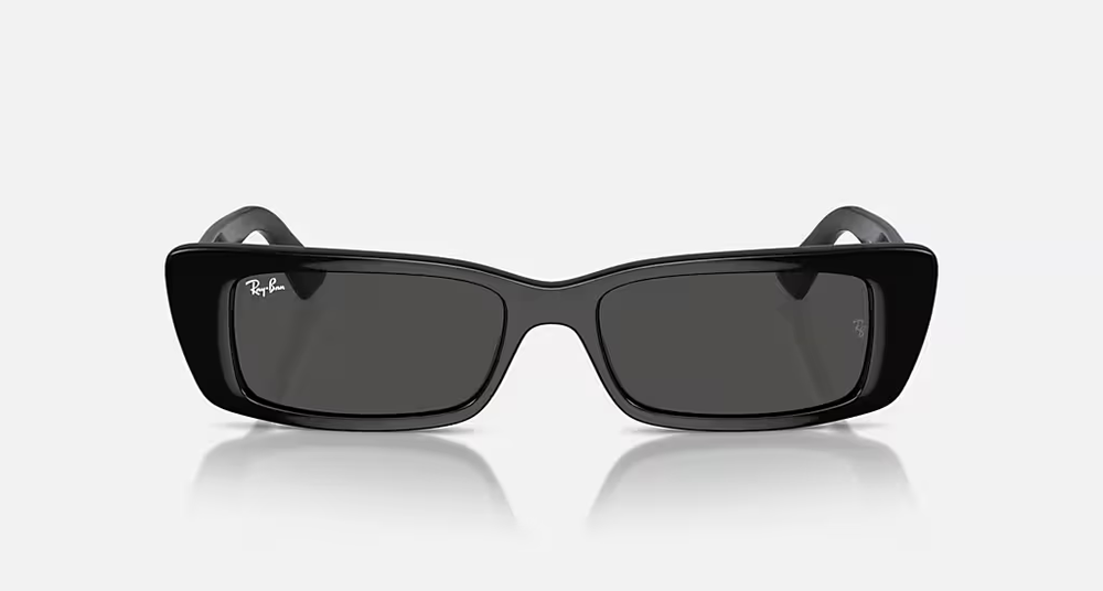 Ray-Ban Sunglasses TERU RB4425-667787