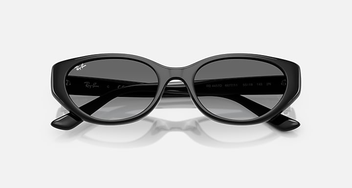 Ray-Ban Sunglasses RB4457D-667711