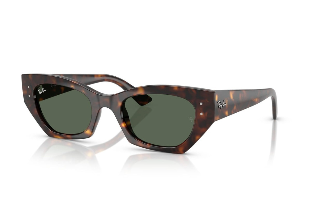 Ray-Ban Sunglasses ZENA RB4430-135971